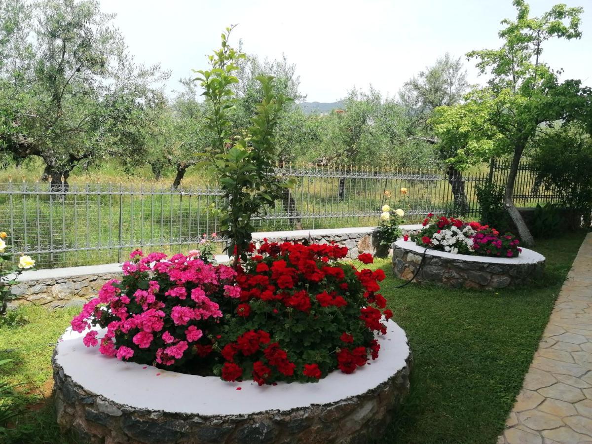 Eleni'S Holiday Home كالاماتا المظهر الخارجي الصورة